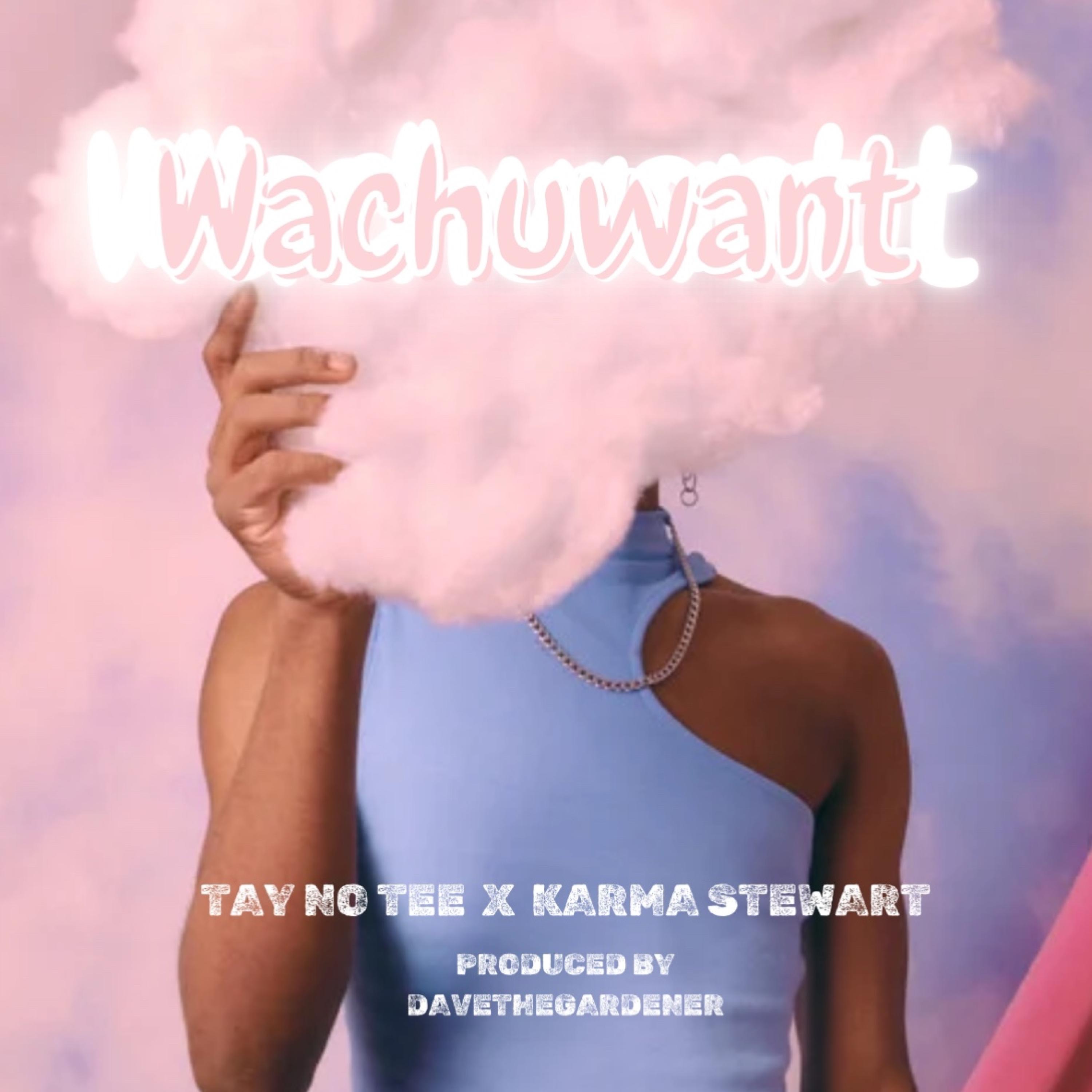 Wachuwant (feat. Karma Stewart) [Clean Version] - Single album cover