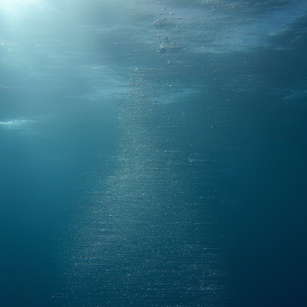 Pure Shores - Single album cover