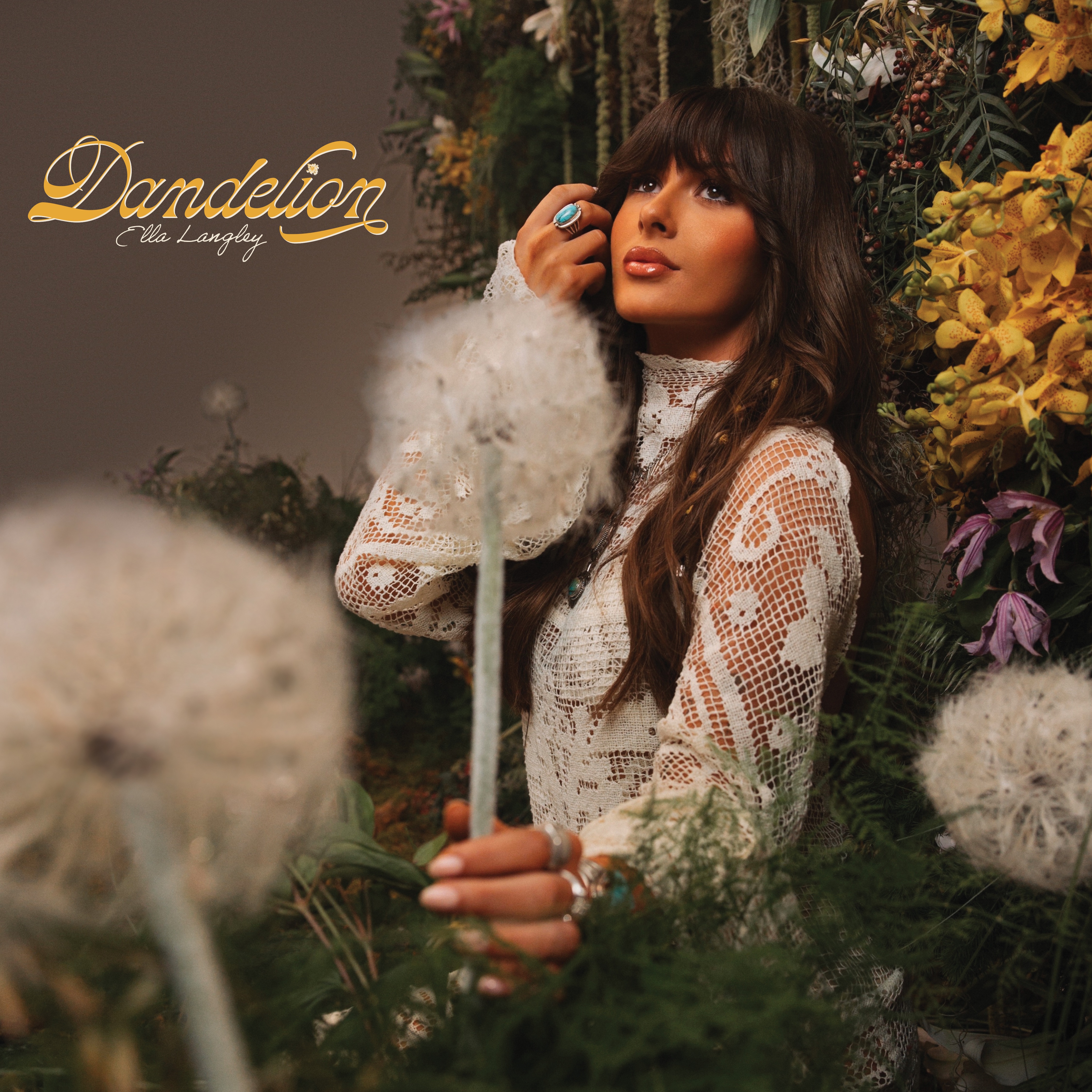 Dandelion album cover