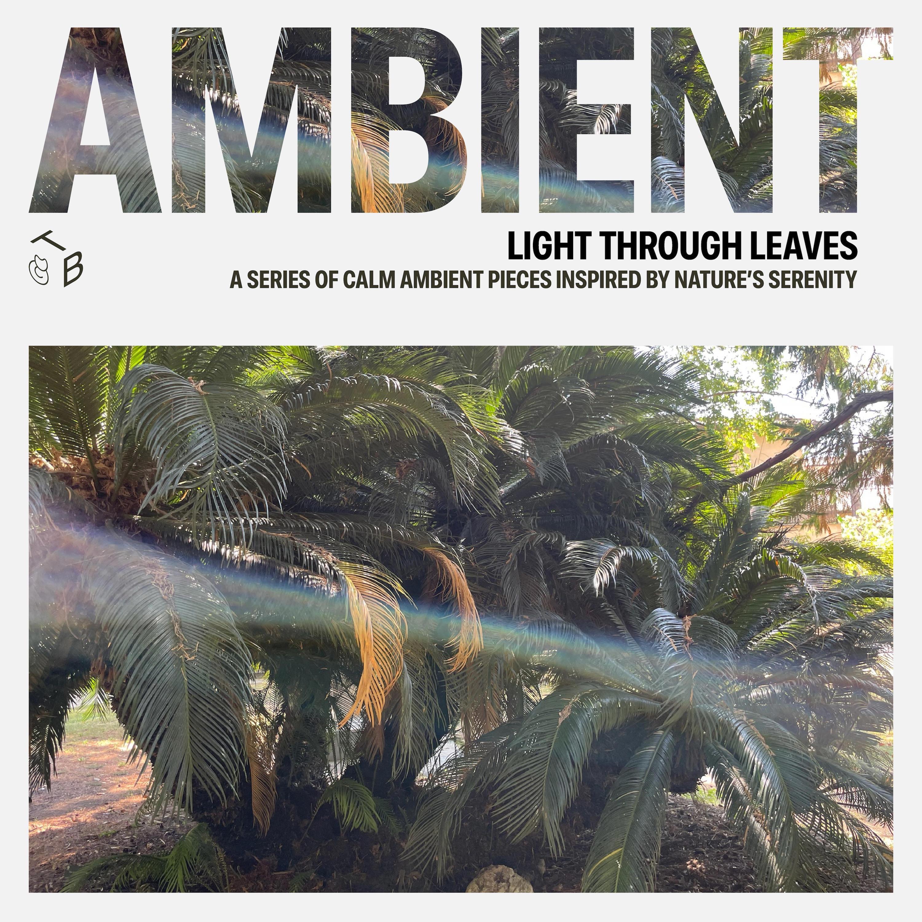 Light Through Leaves - EP album cover