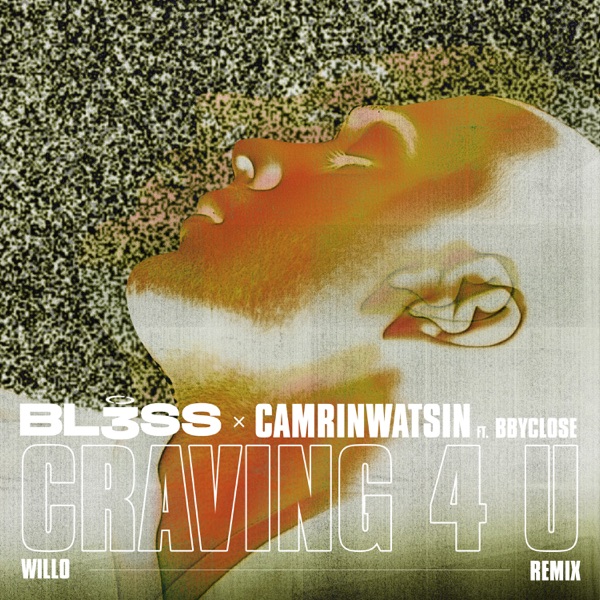 Craving 4 U (feat. bbyclose) [Willo Remix] - Single album cover