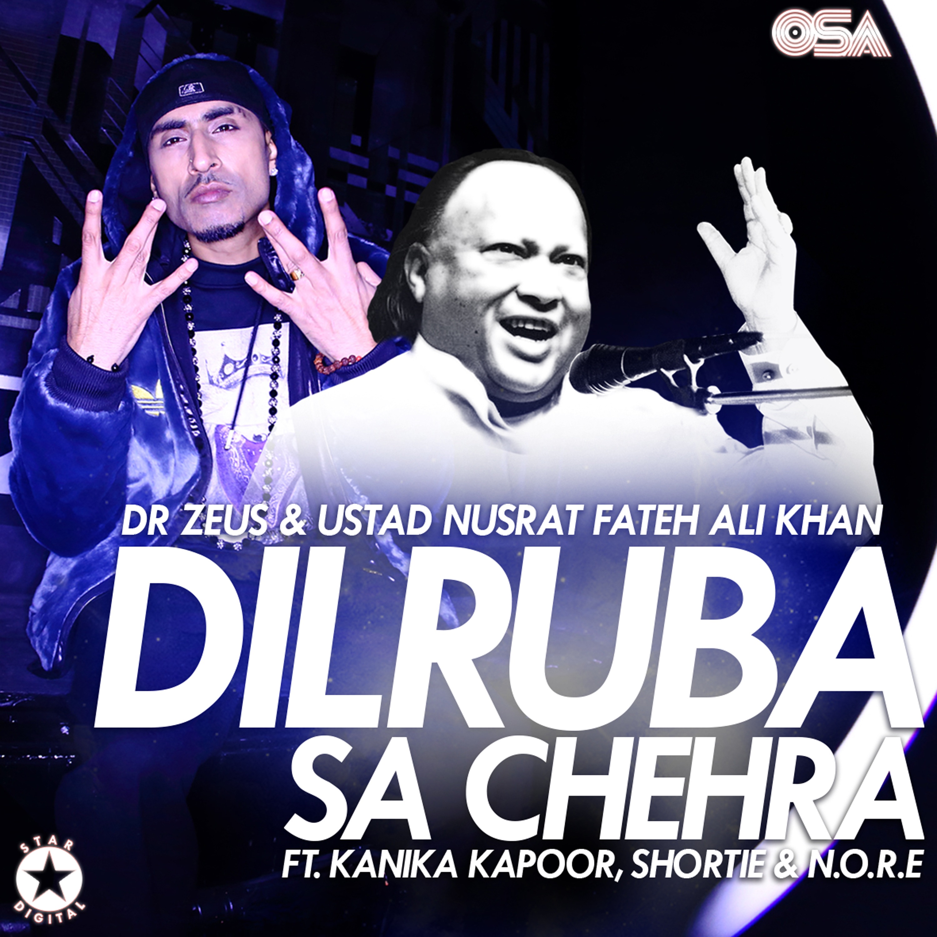 Dilruba Sa Chehra (feat. Kanika Kapoor, Shortie & N.O.R.E.) - Single album cover