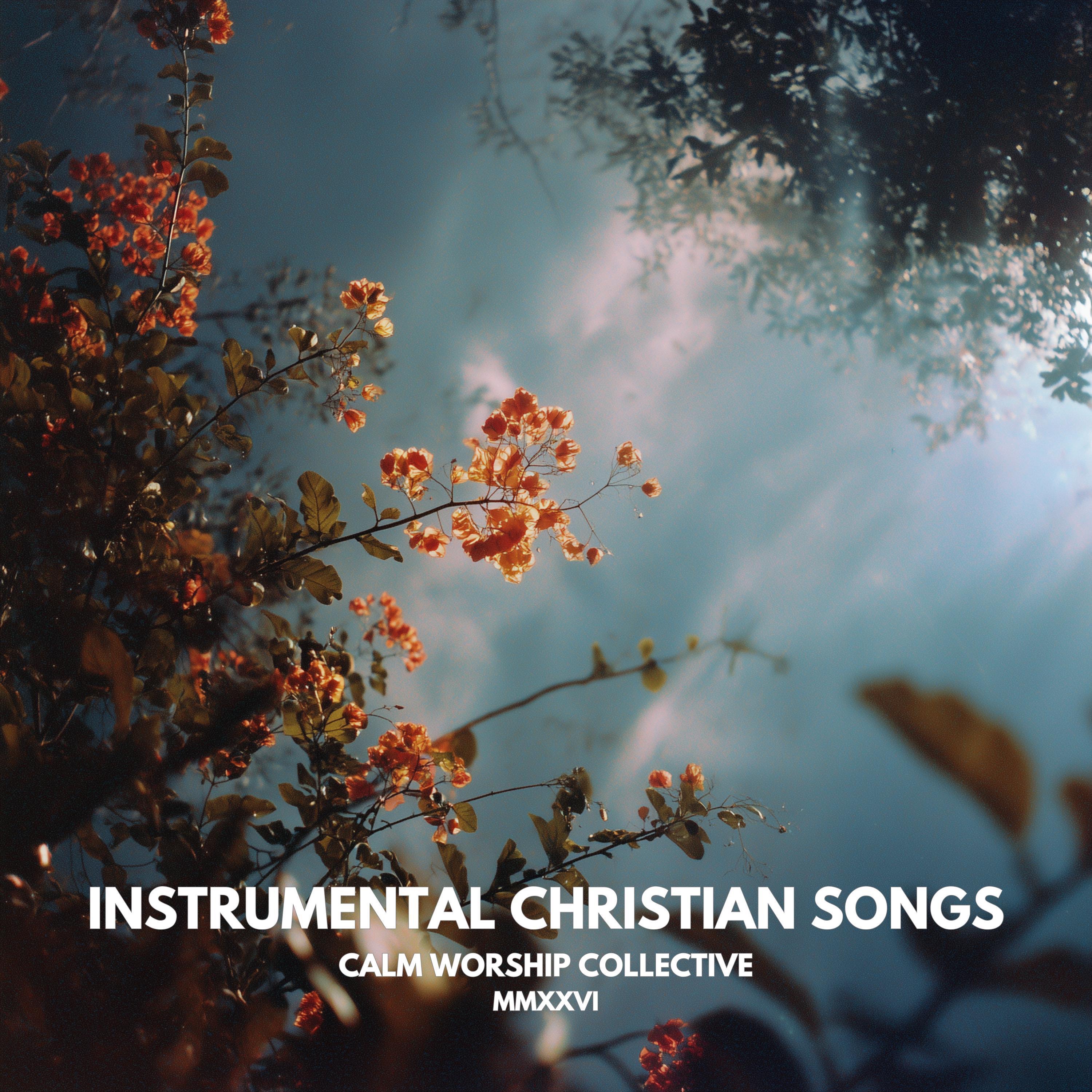 Instrumental Christian Songs (Instrumental Worship) album cover