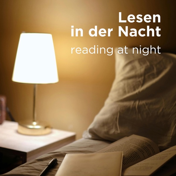 Lesen in der Nacht - reading at night (no vocals) album cover