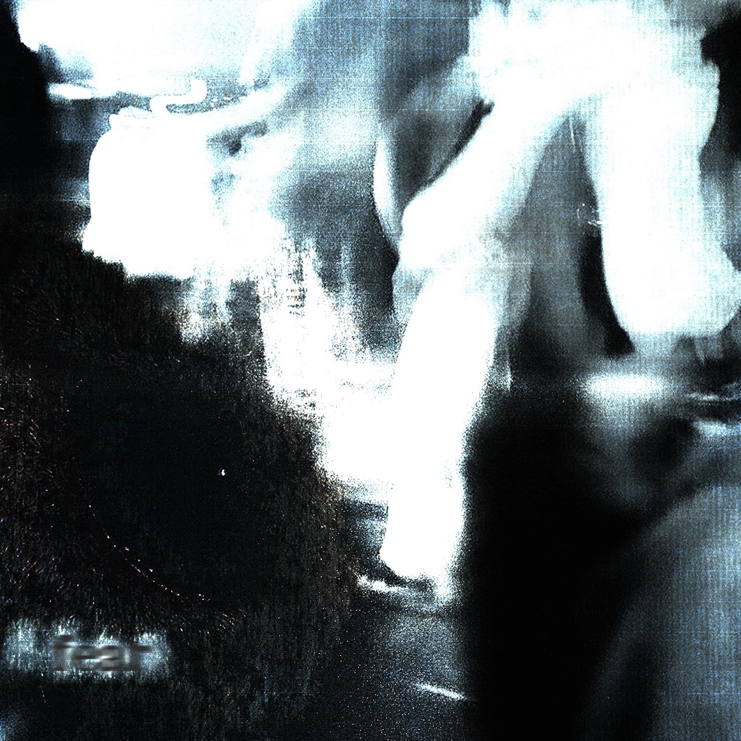 FEAR - Single album cover