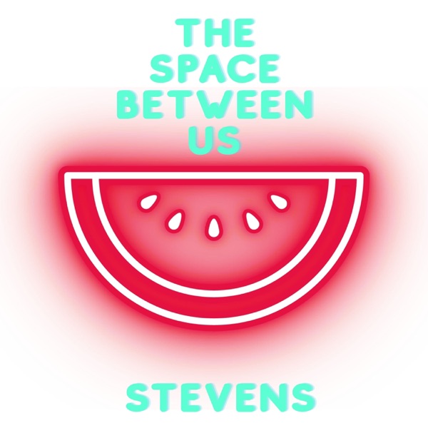 The Space Between Us - Single album cover