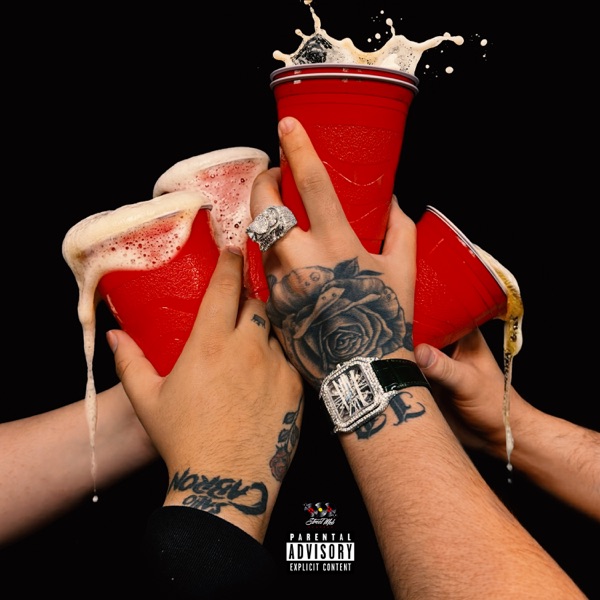 Tristemente Enfiestado album cover