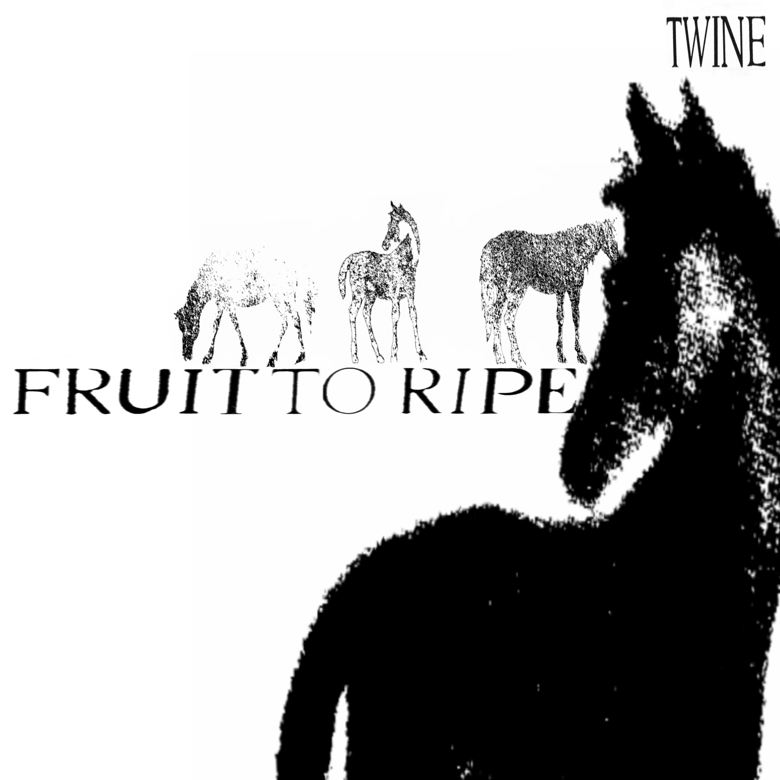 Fruit To Ripe - Single album cover
