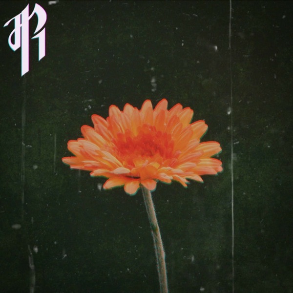 Floral Fury - Single album cover