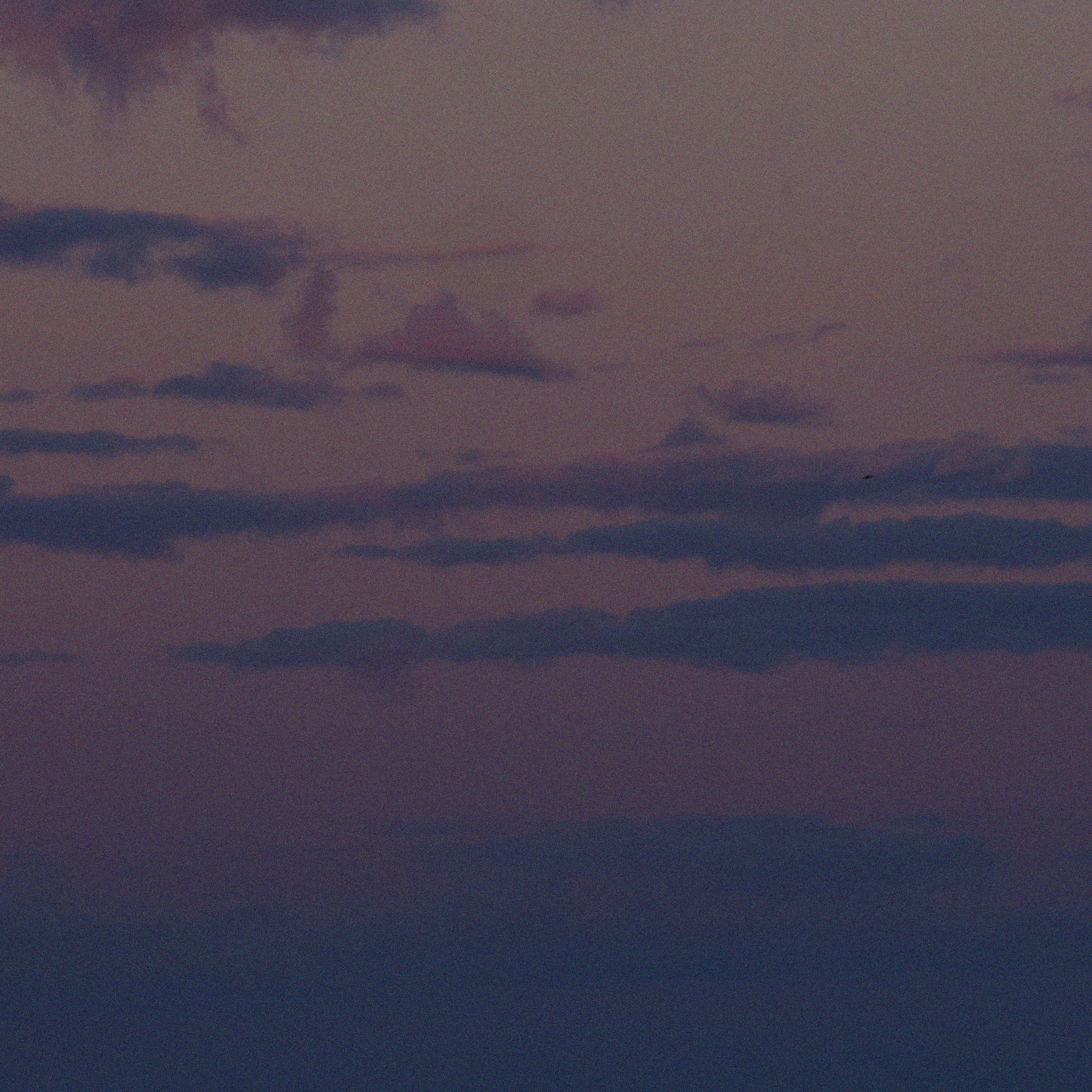 stars fell where we walked - Single album cover