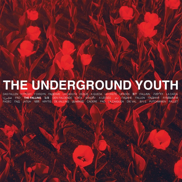 The Falling album cover