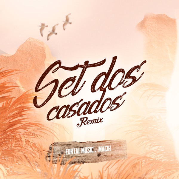 SET DOS CASADOS (feat. Mc Kevin, MC HARIEL, Mc Don Juan, MC Kapela, MC Marks, MC G15, Gaab, MC Ryan  album cover