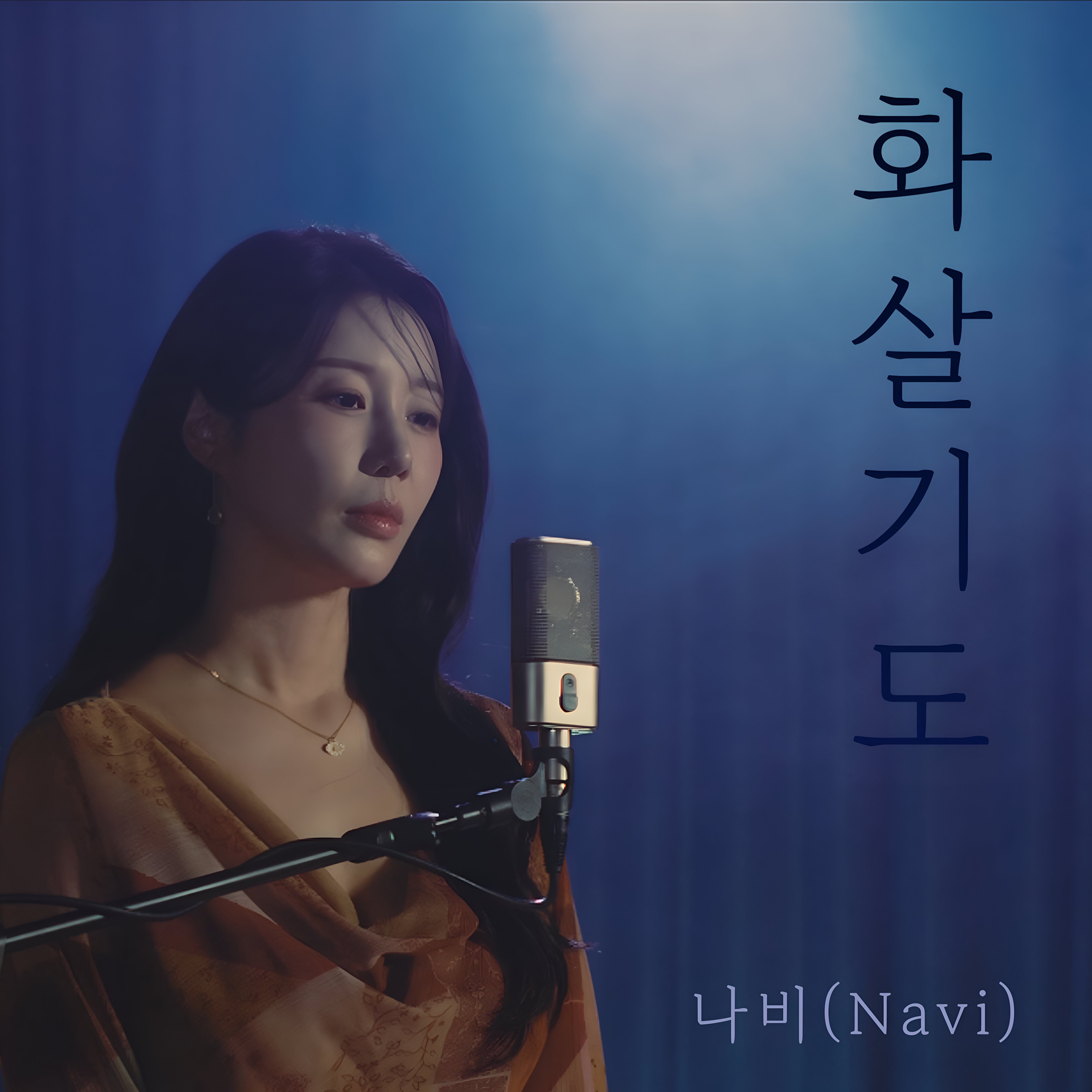 SHOT TO HEAVEN - Single album cover