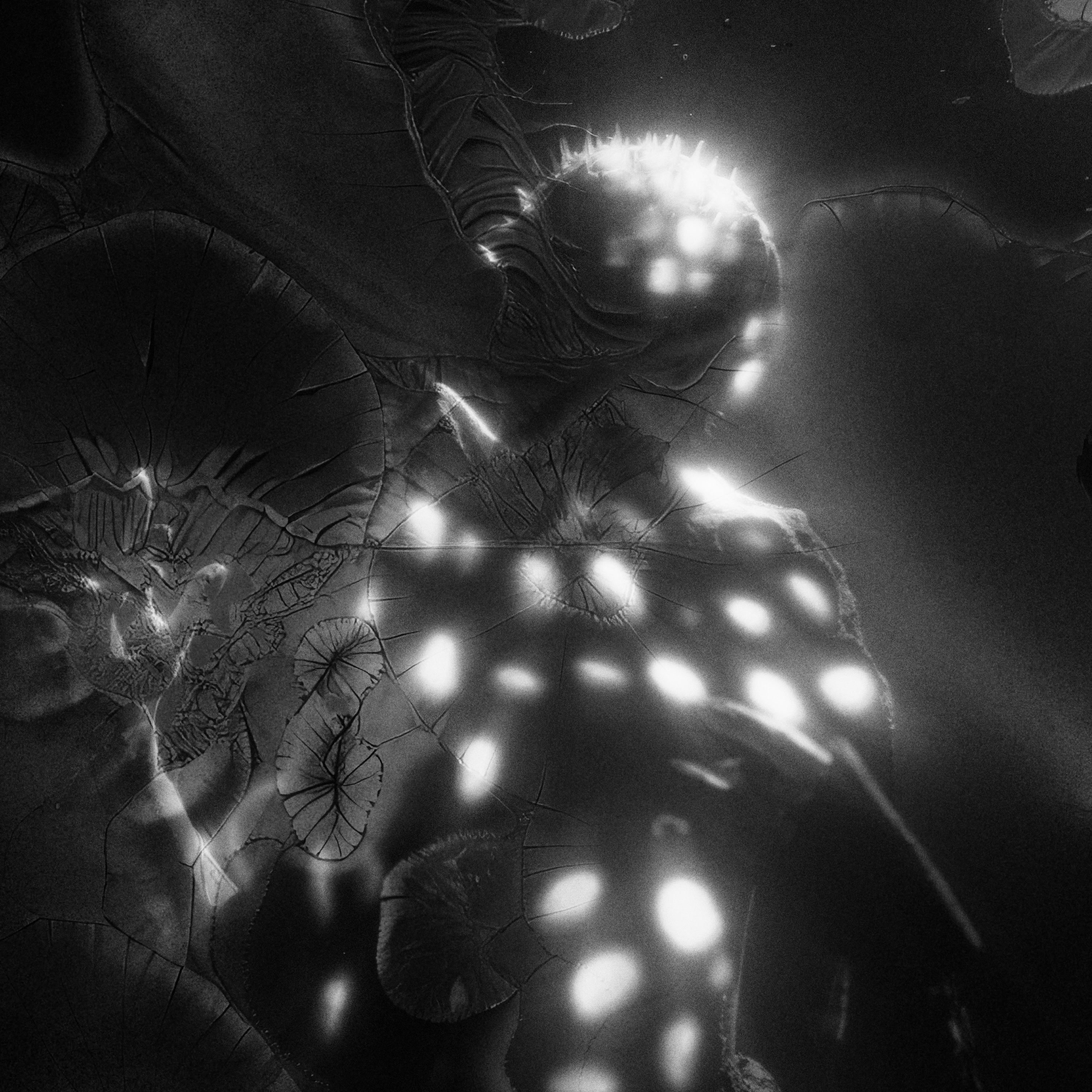 Noise - Single album cover