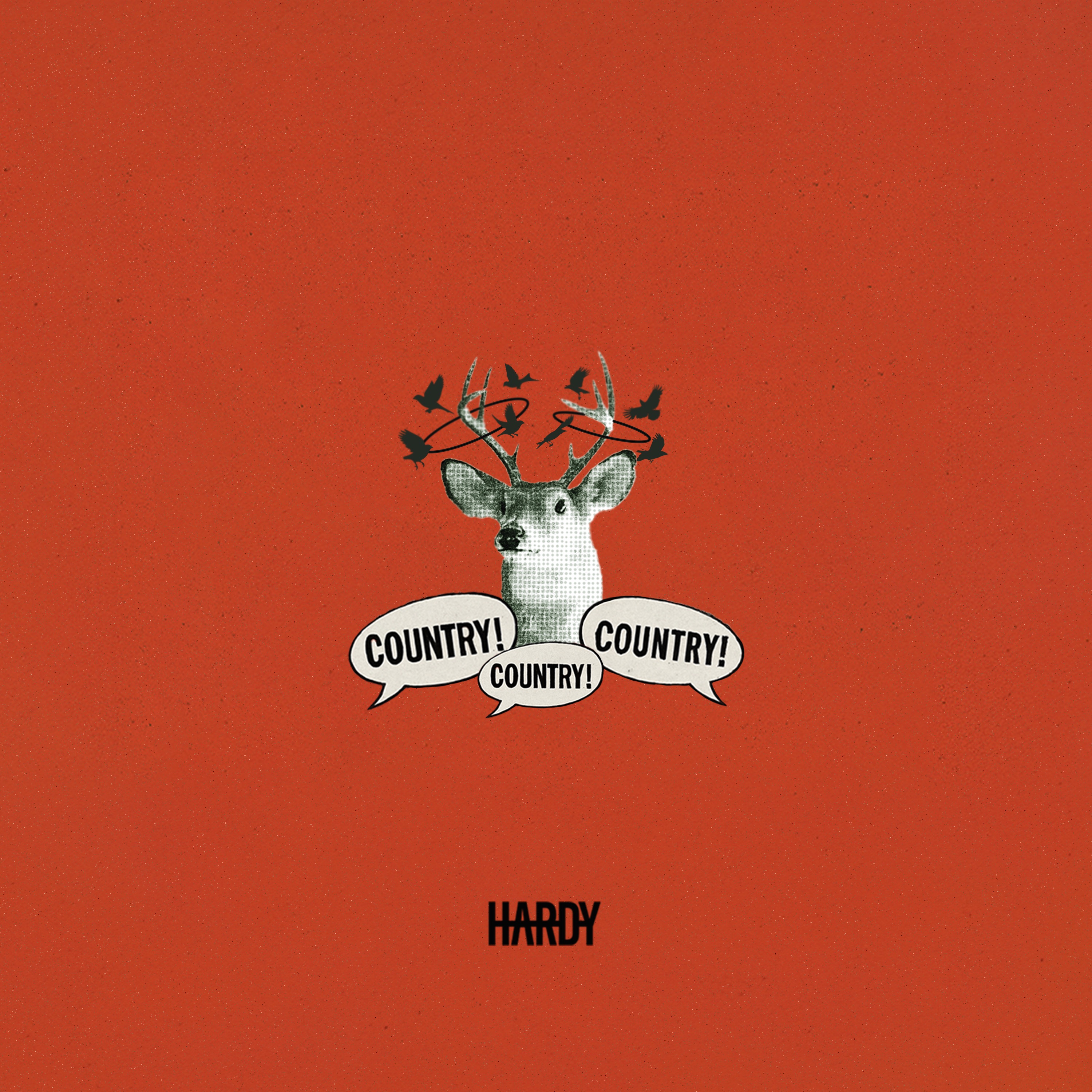 COUNTRY! COUNTRY! COUNTRY! album cover