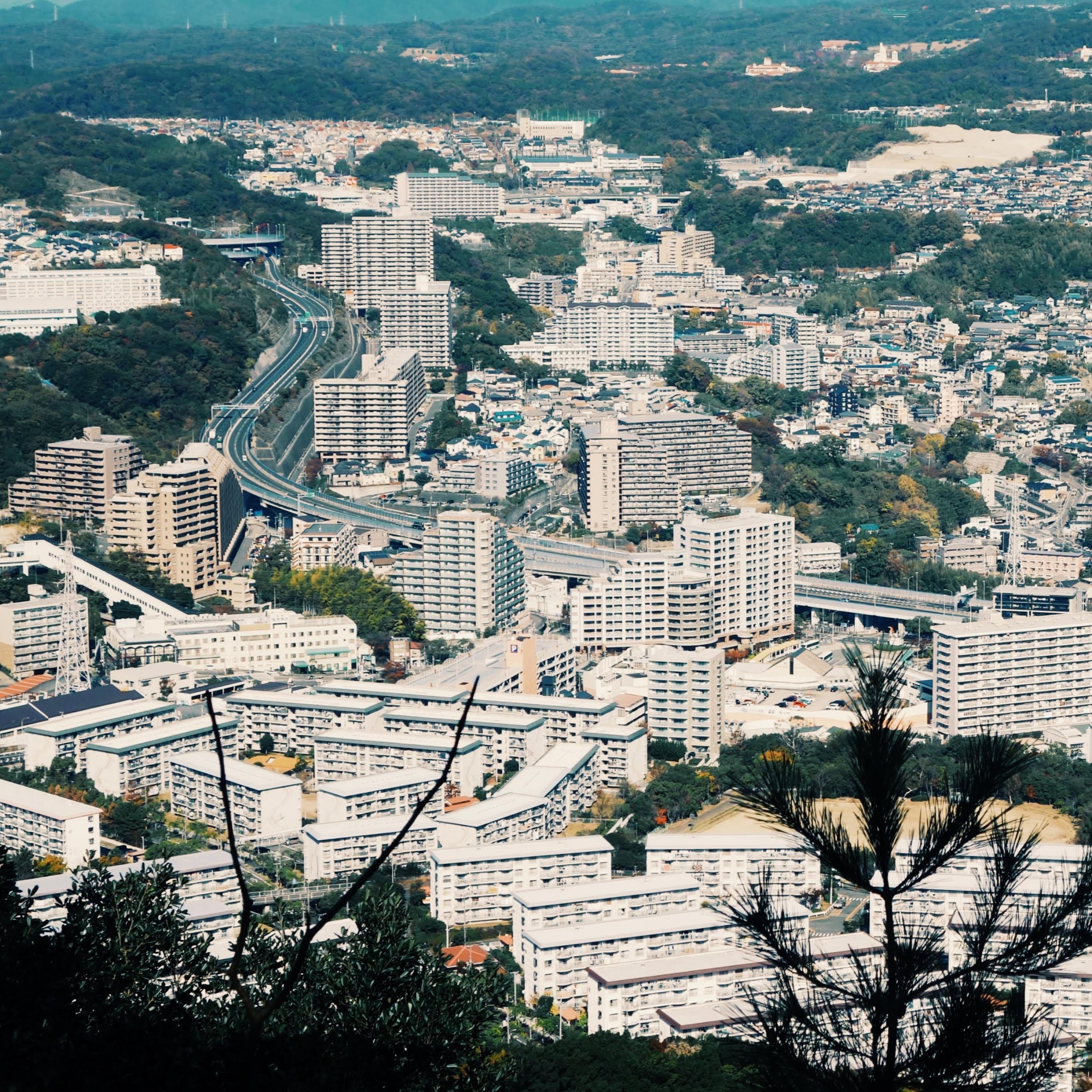 In Suburbs album cover