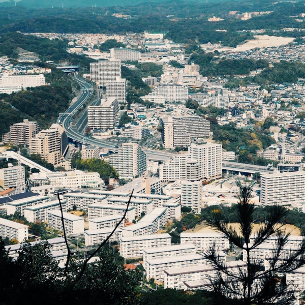 In Suburbs album cover