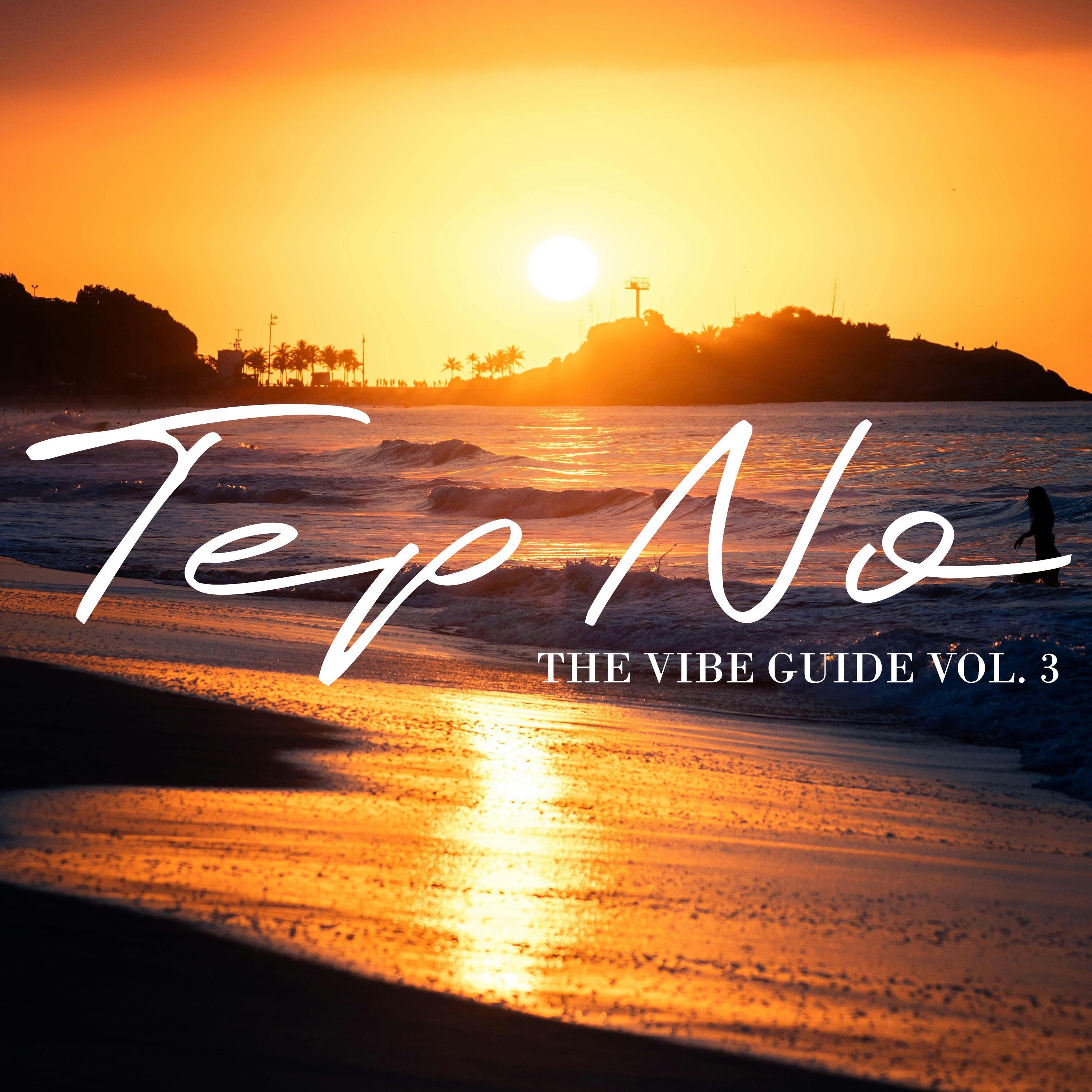 The Vibe Guide, Vol. 3 album cover