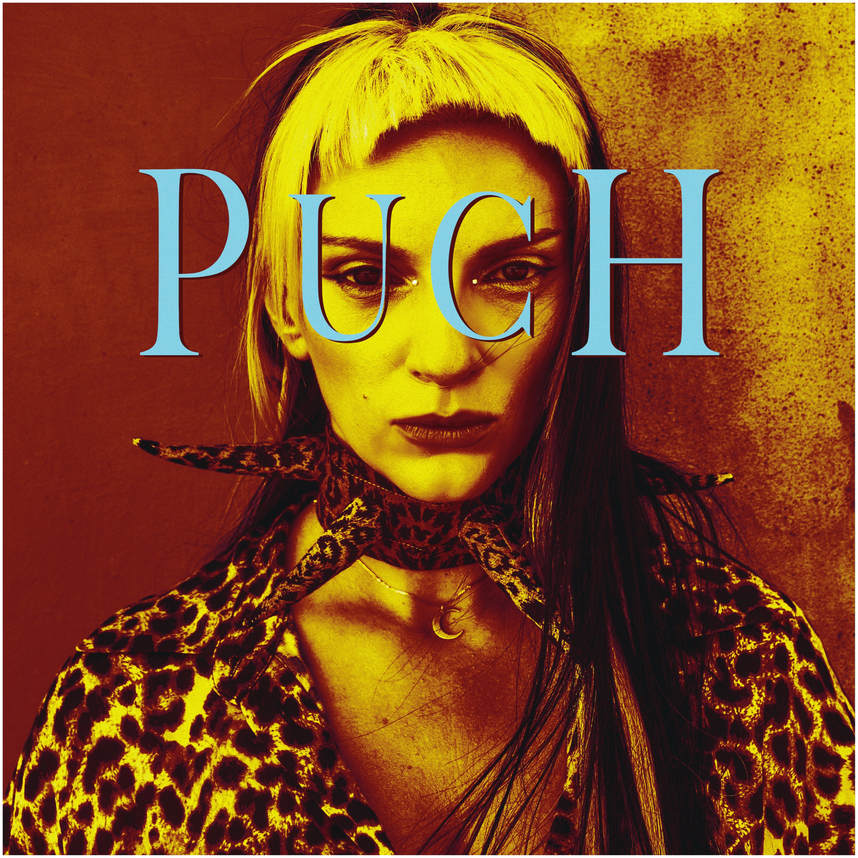 Puch - Single album cover