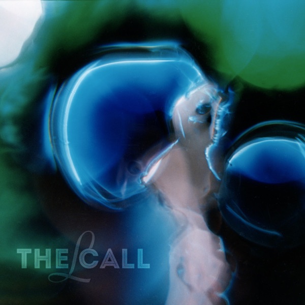 The Call (VIP Mix) - Single album cover