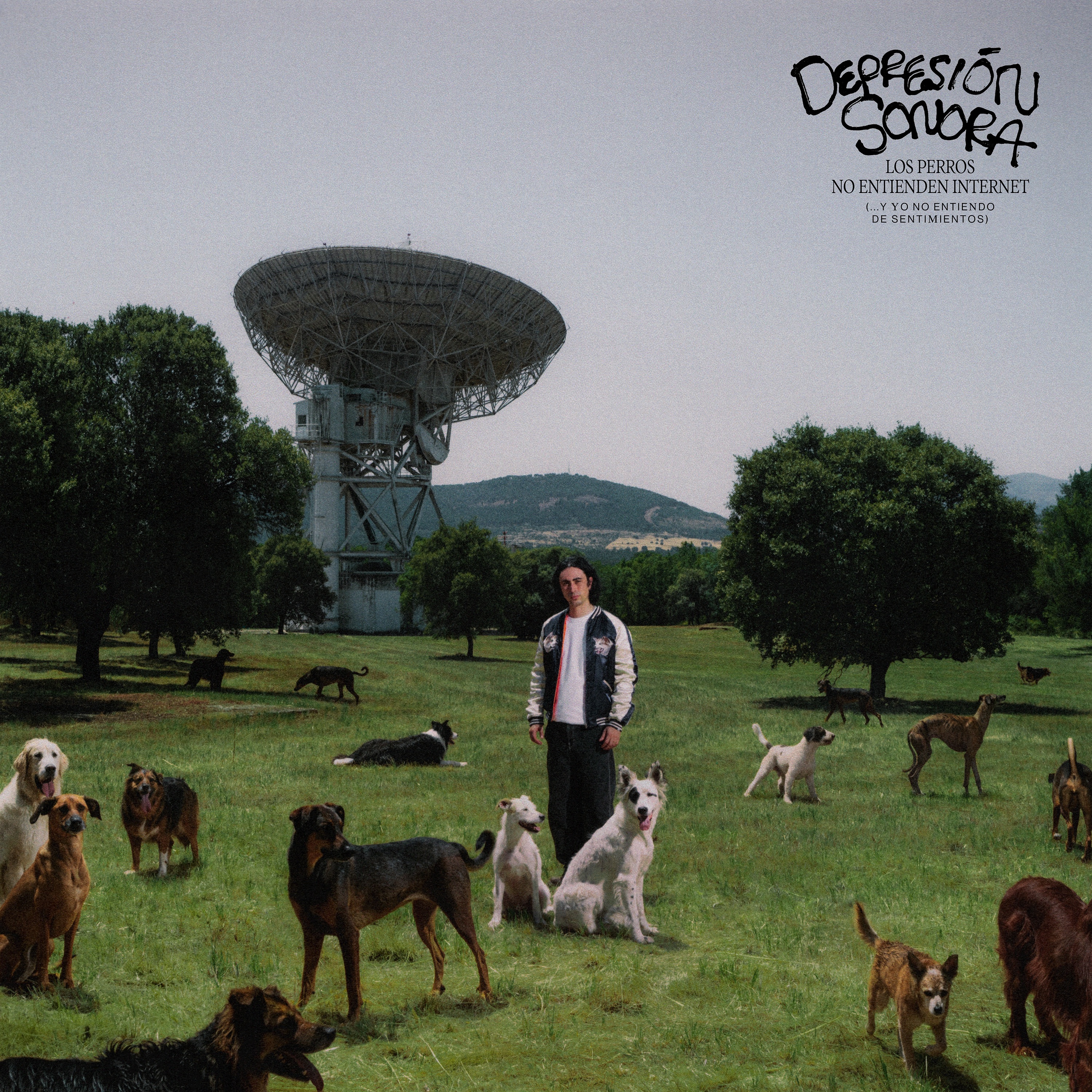 Los Perros no Entienden Internet (…Y Yo no Entiendo de Sentimientos) album cover