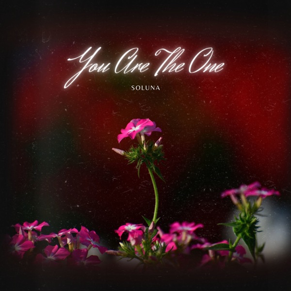 You Are The One - Single album cover