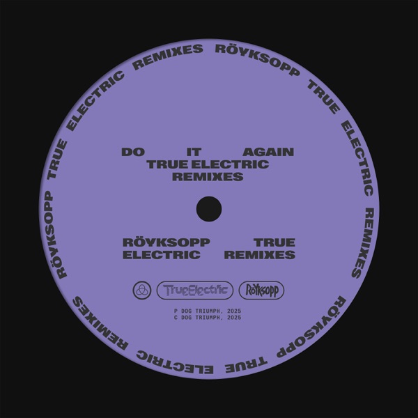 Do It Again (True Electric Remixes) [feat. Robyn] - Single album cover