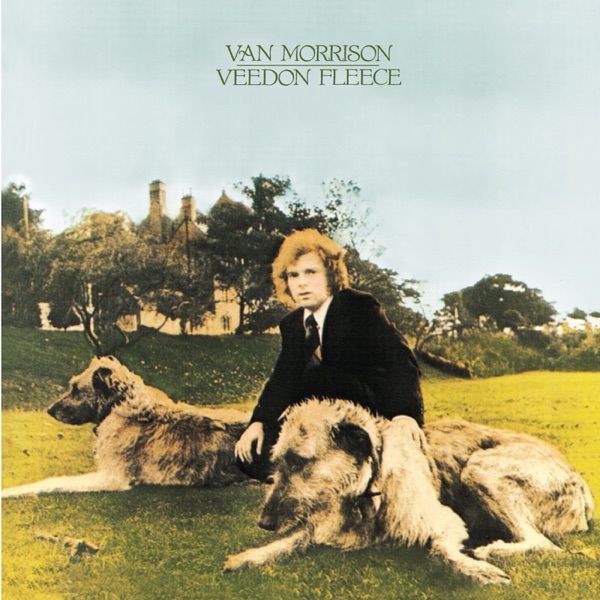 Veedon Fleece (Bonus Track Version) album cover