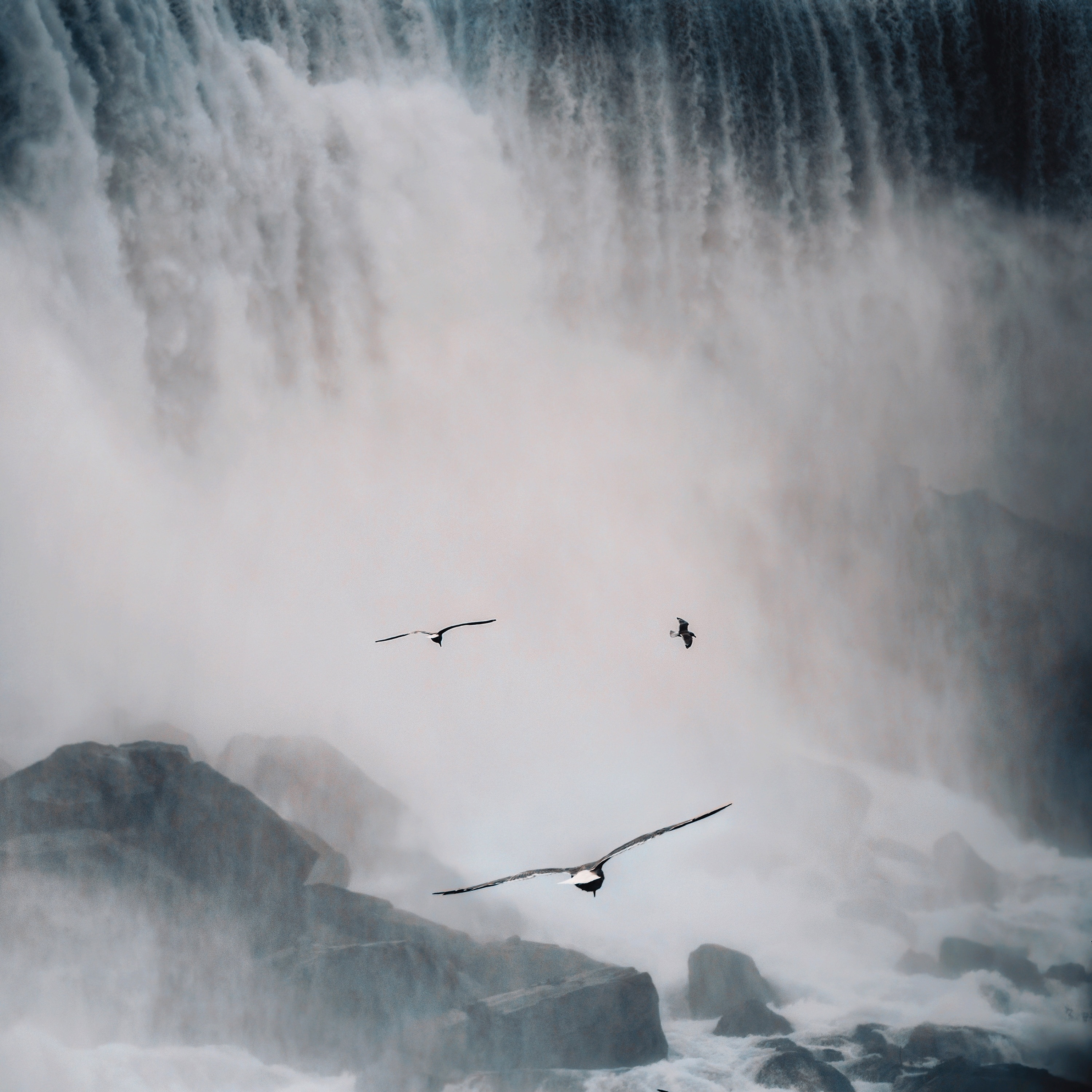 Pause - Single album cover