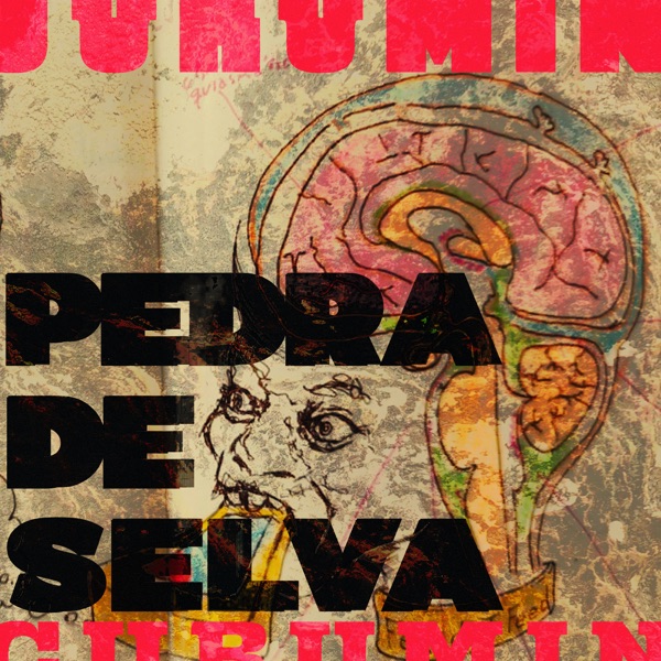 Pedra de Selva album cover