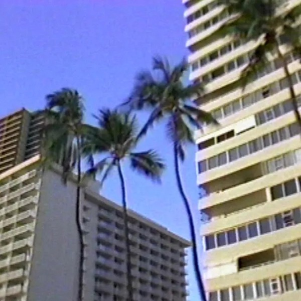 JUNGLE album cover