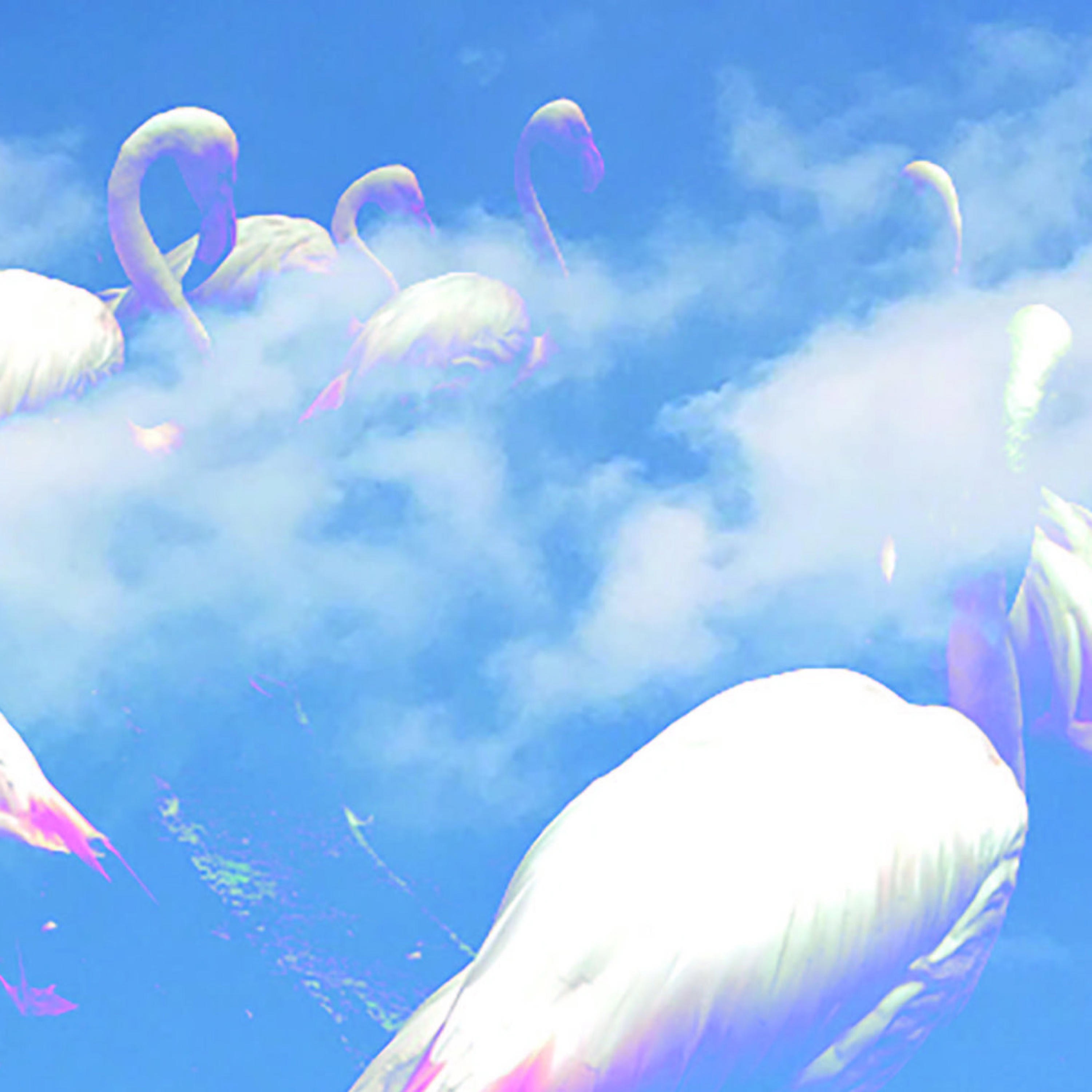 Kaoscitron album cover