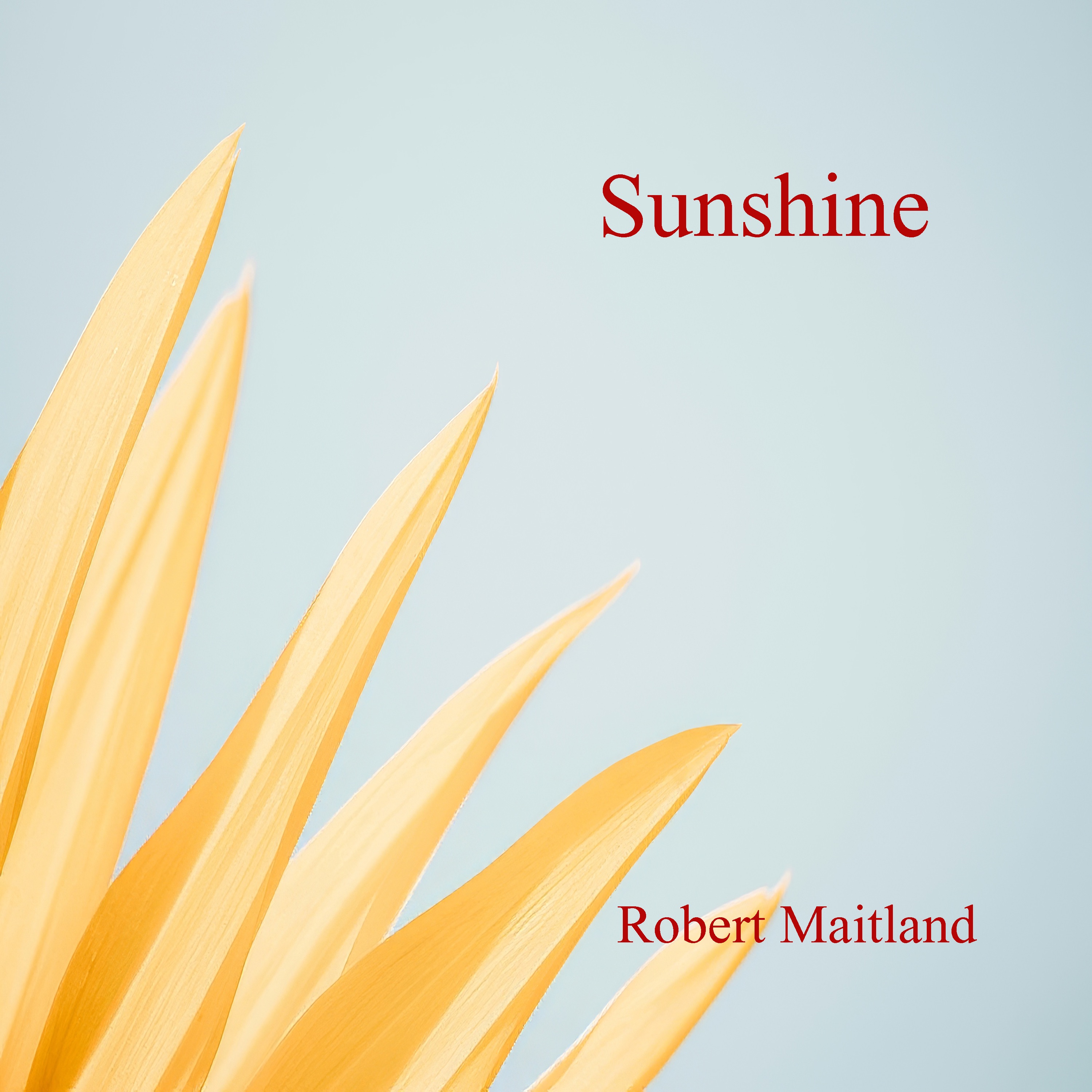 Sunshine - Single album cover