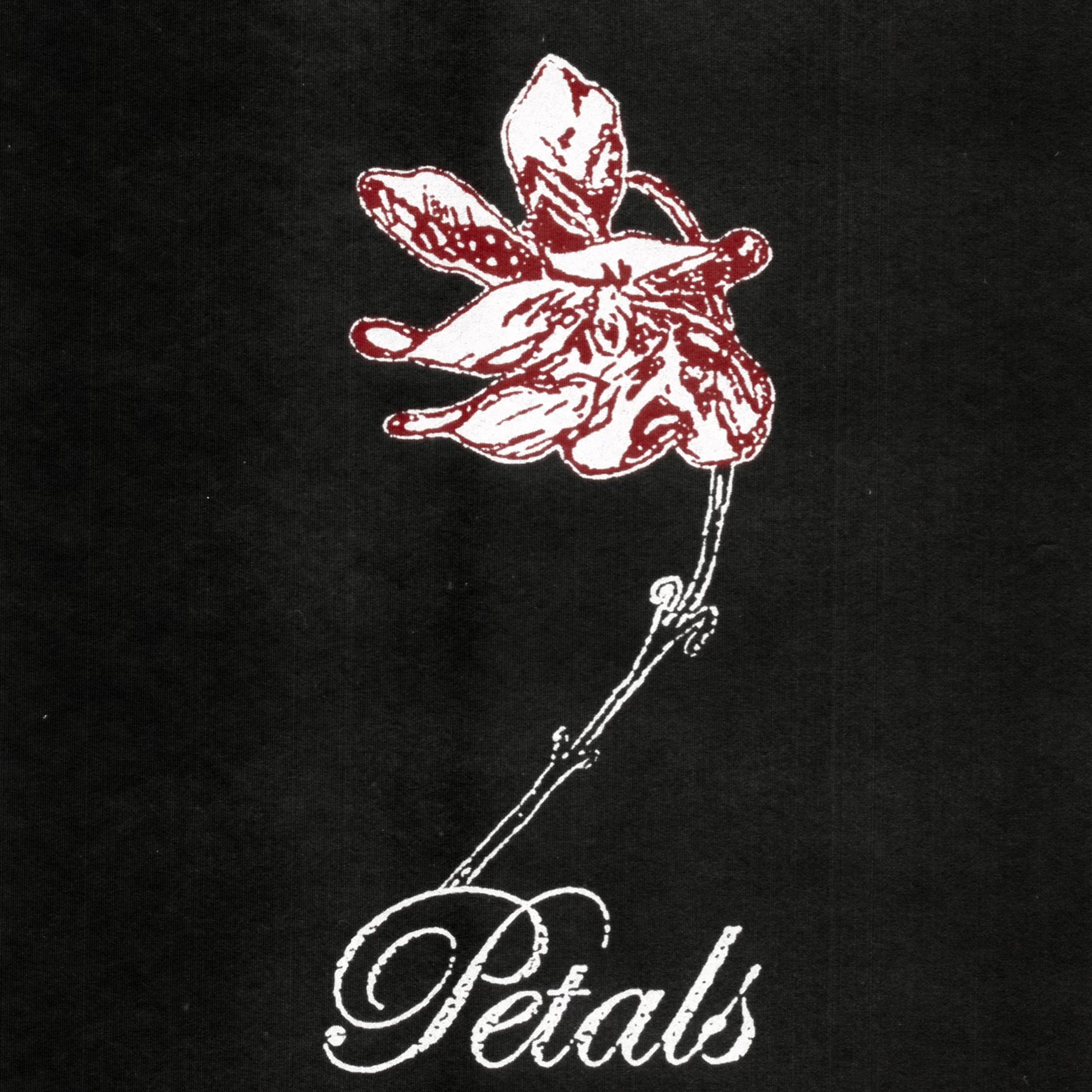 Petals - Single album cover