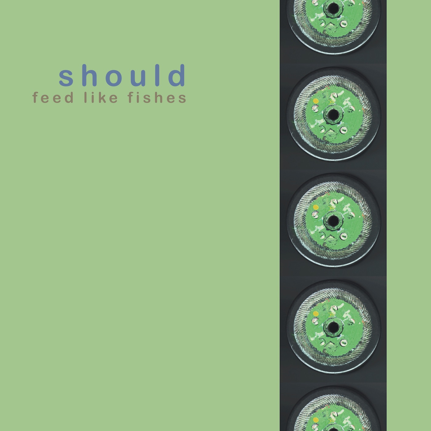 Feed Like Fishes album cover