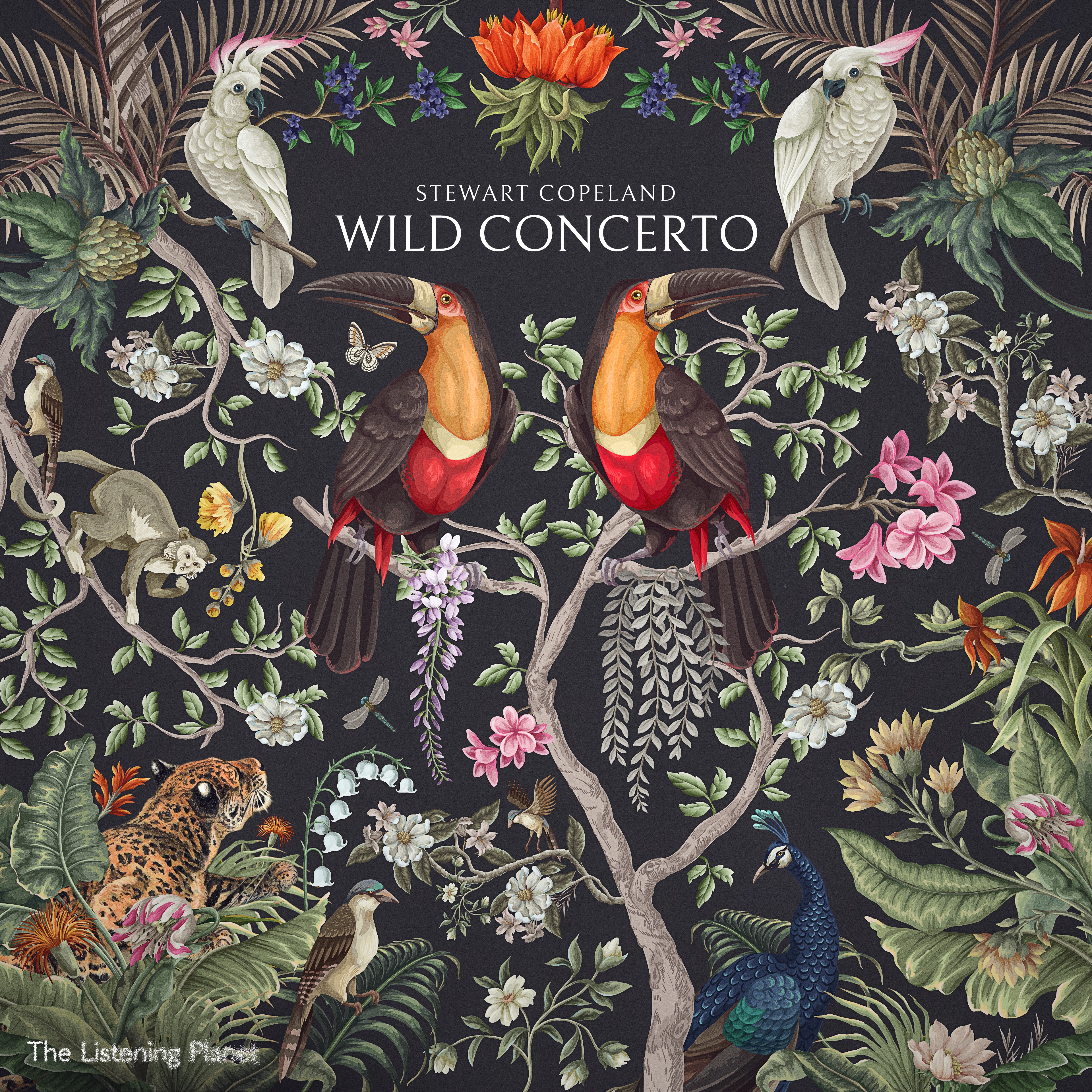 Stewart Copeland: Wild Concerto album cover