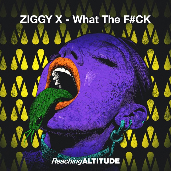 What the F#CK - Single album cover
