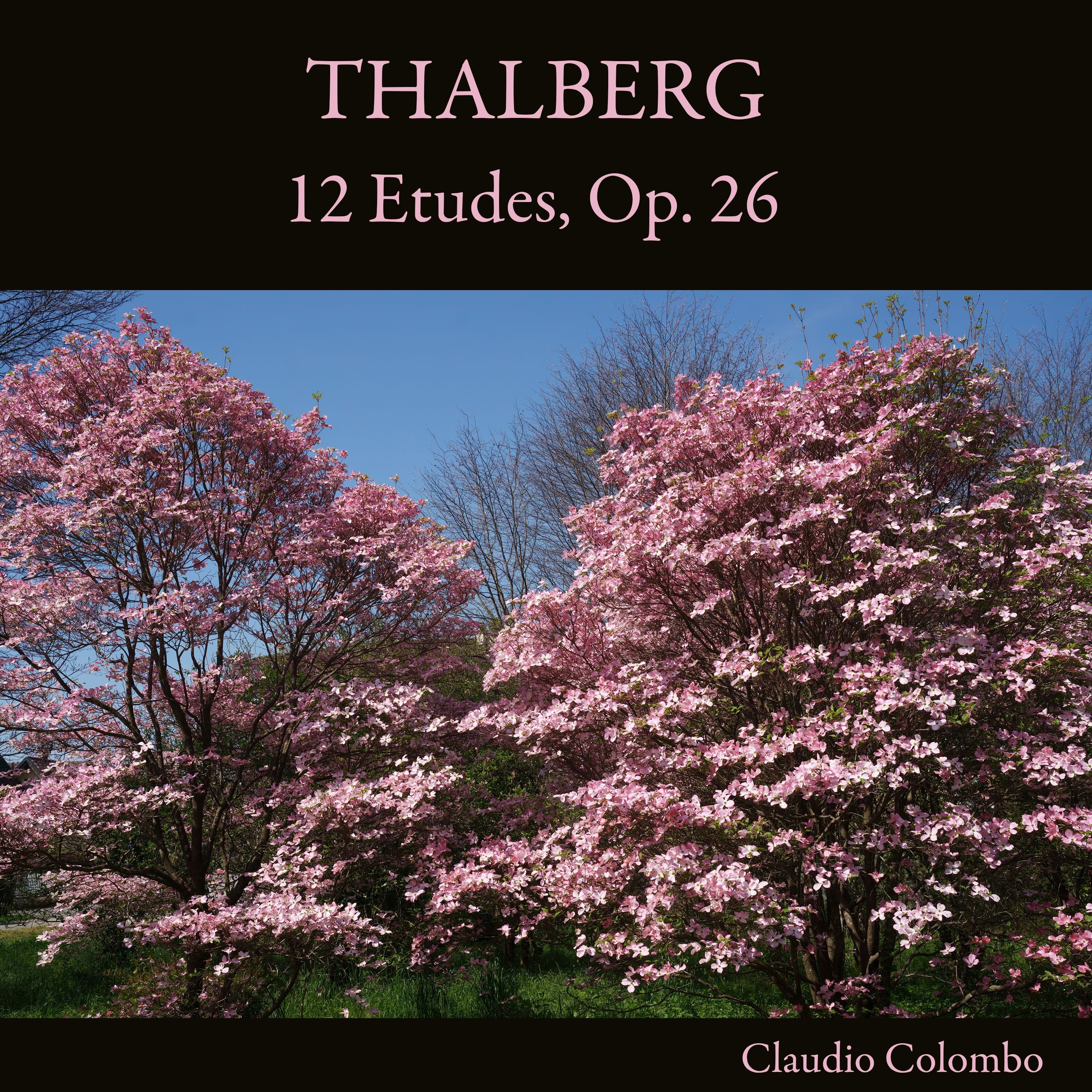 Thalberg: 12 Etudes, Op. 26 album cover