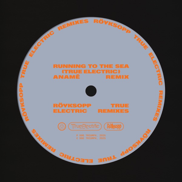 Running To The Sea (anamē Remix) [feat. Susanne Sundfør] - Single album cover