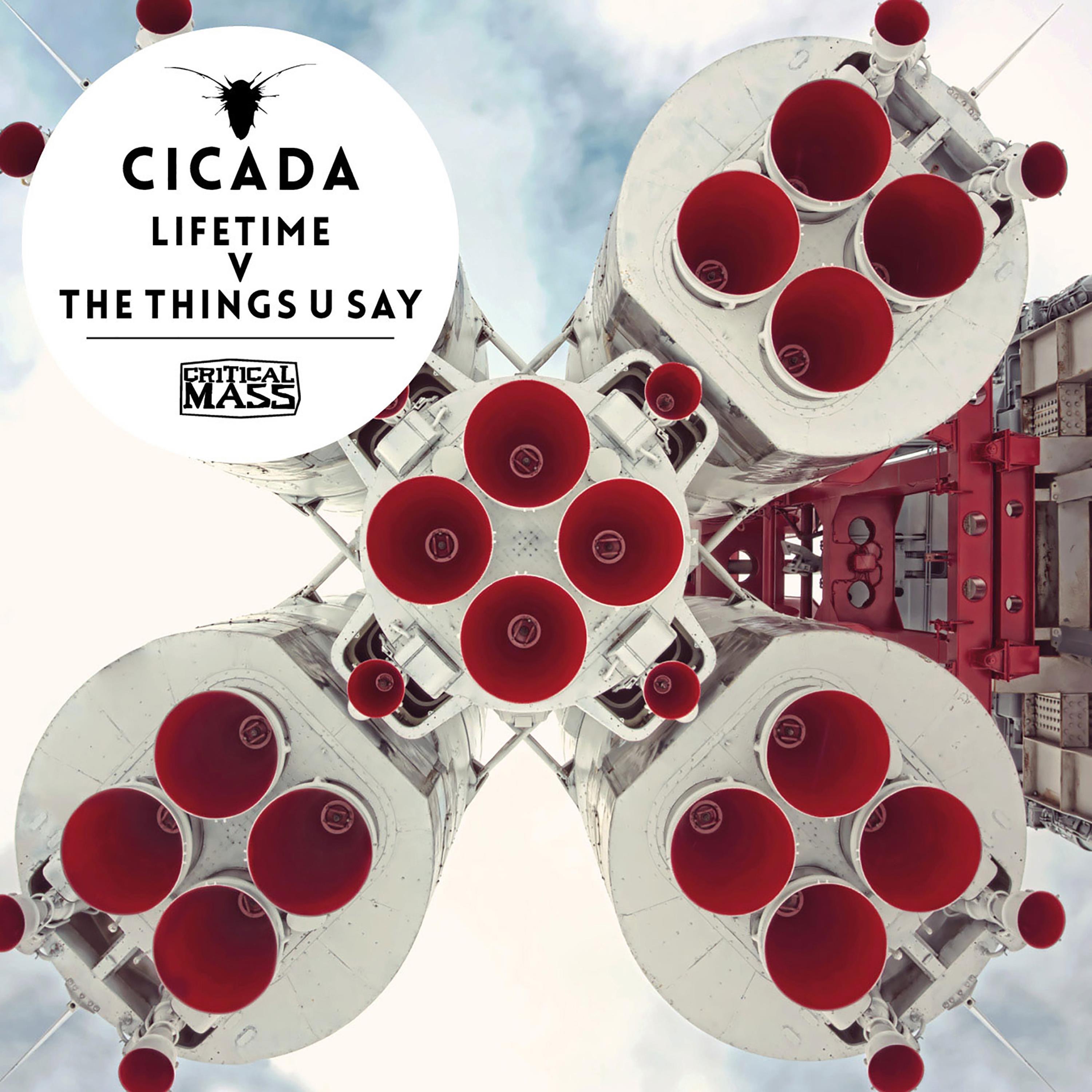 Lifetime v The Things U Say - Single album cover