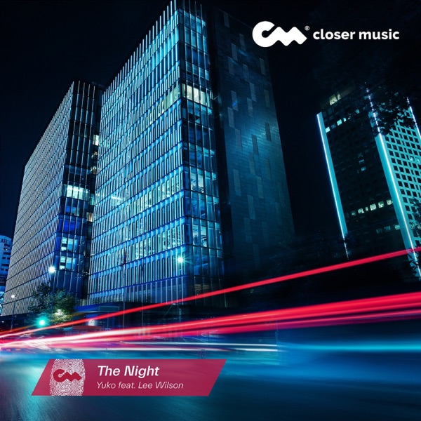 The Night (Instrumental) - Single album cover