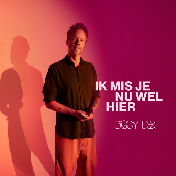Ik Mis Je Nu Wel Hier - Single album cover