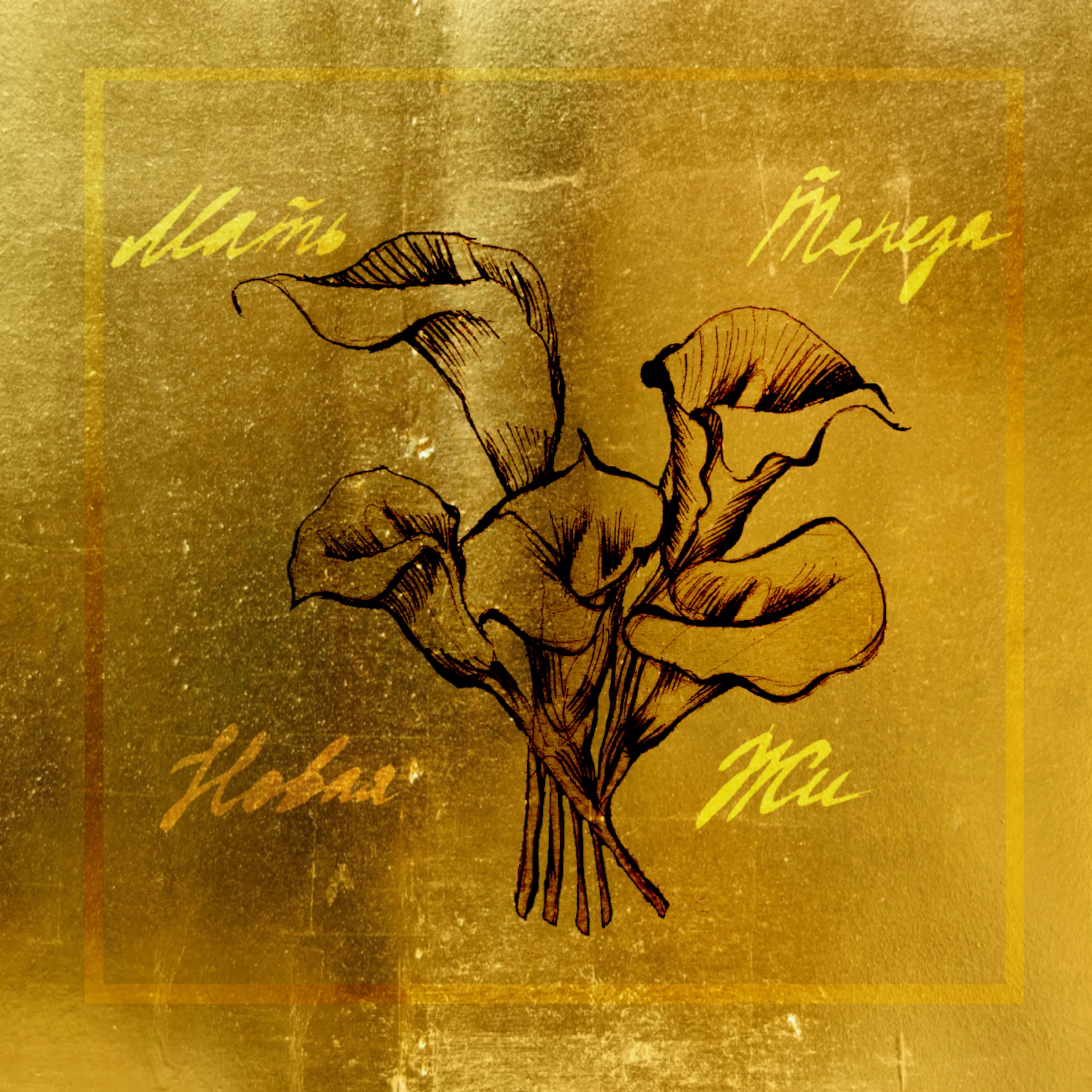 Новая Жи album cover