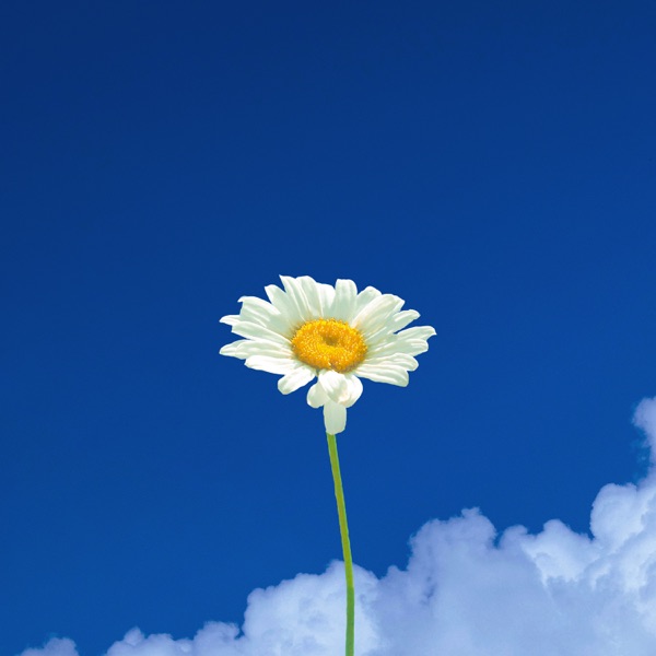 Beautiful Day - Single album cover