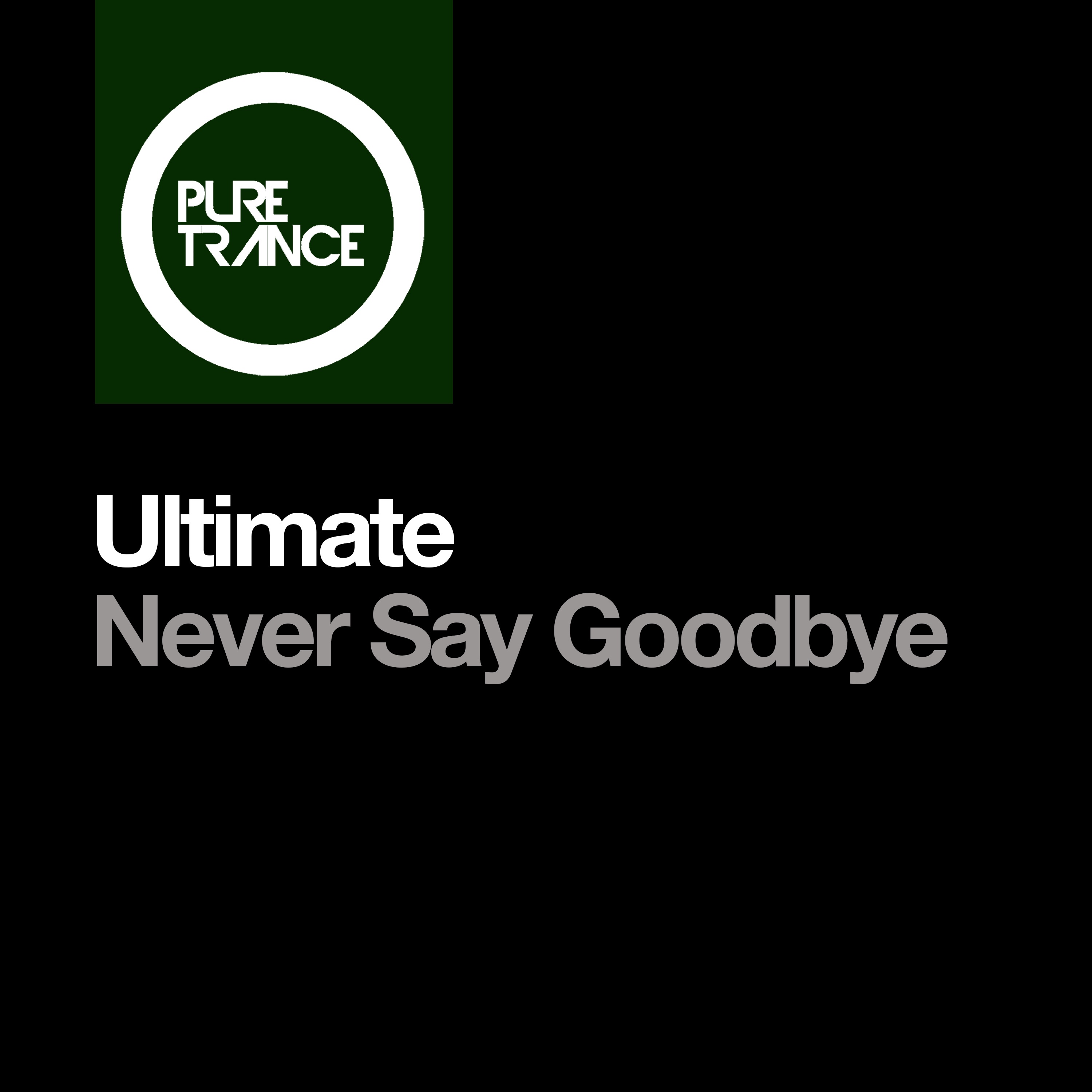 Never Say Goodbye - Single album cover