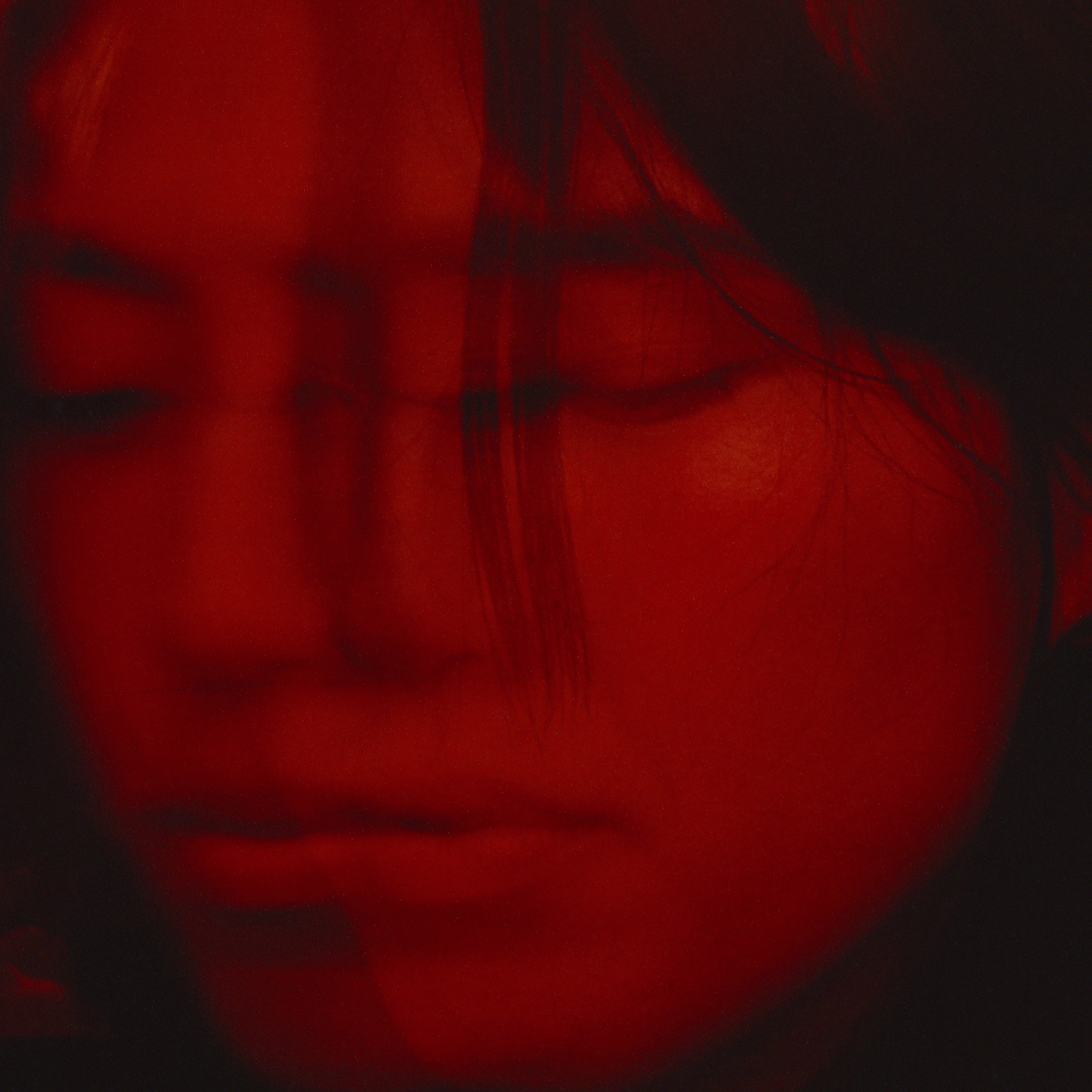 Not in Love - Single album cover
