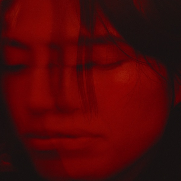 Not in Love - Single album cover
