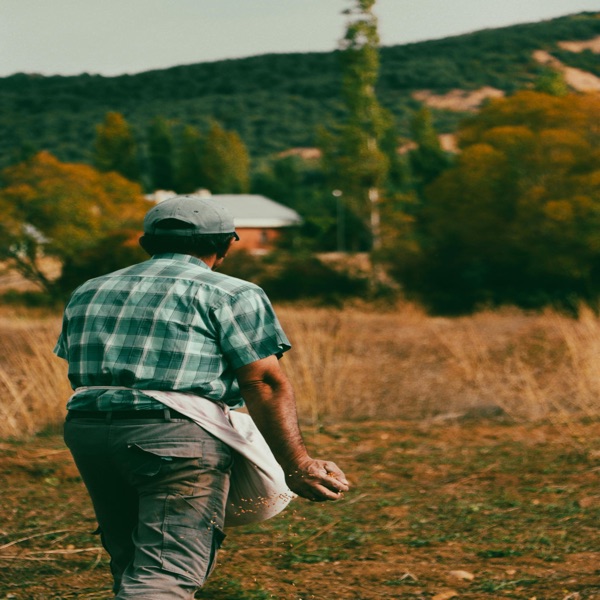 Tekove Chamame Javier Solis - Single album cover