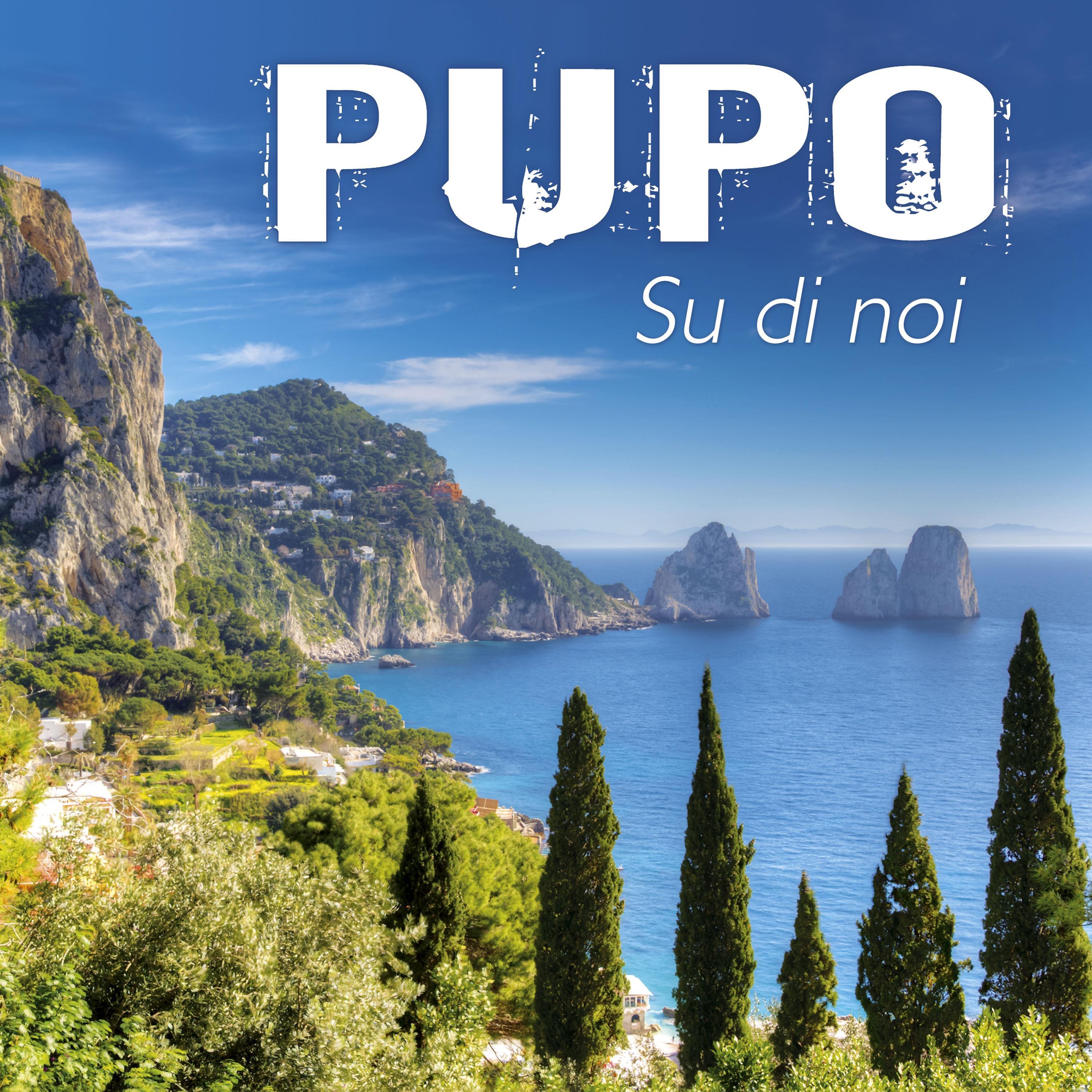 Su di noi album cover