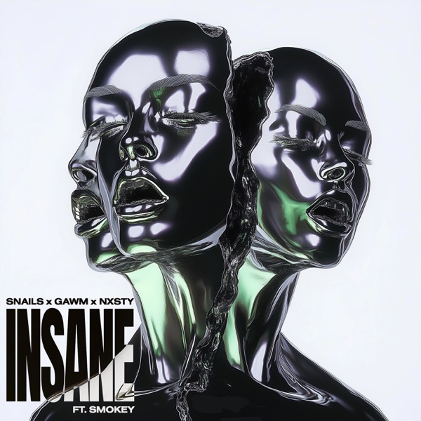 Insane (feat. Smokey) - Single album cover